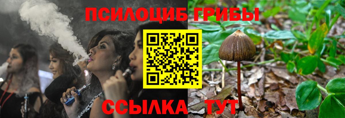 Псилоцибиновые грибы Psilocybine cubensis Нижнекамск